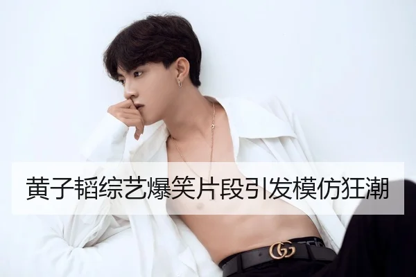 黄子韬综艺爆笑片段引发模仿狂潮